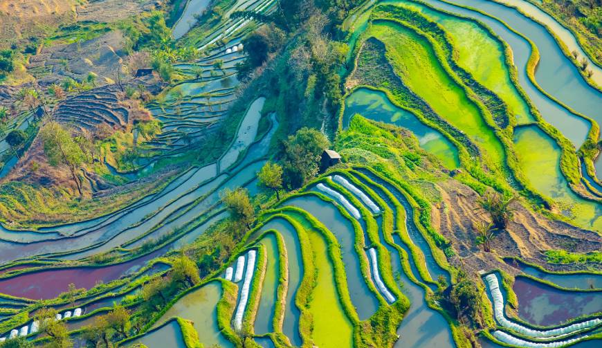 走进安徽TVC拍摄：解锁本地化场景与创意镜头的完美融合